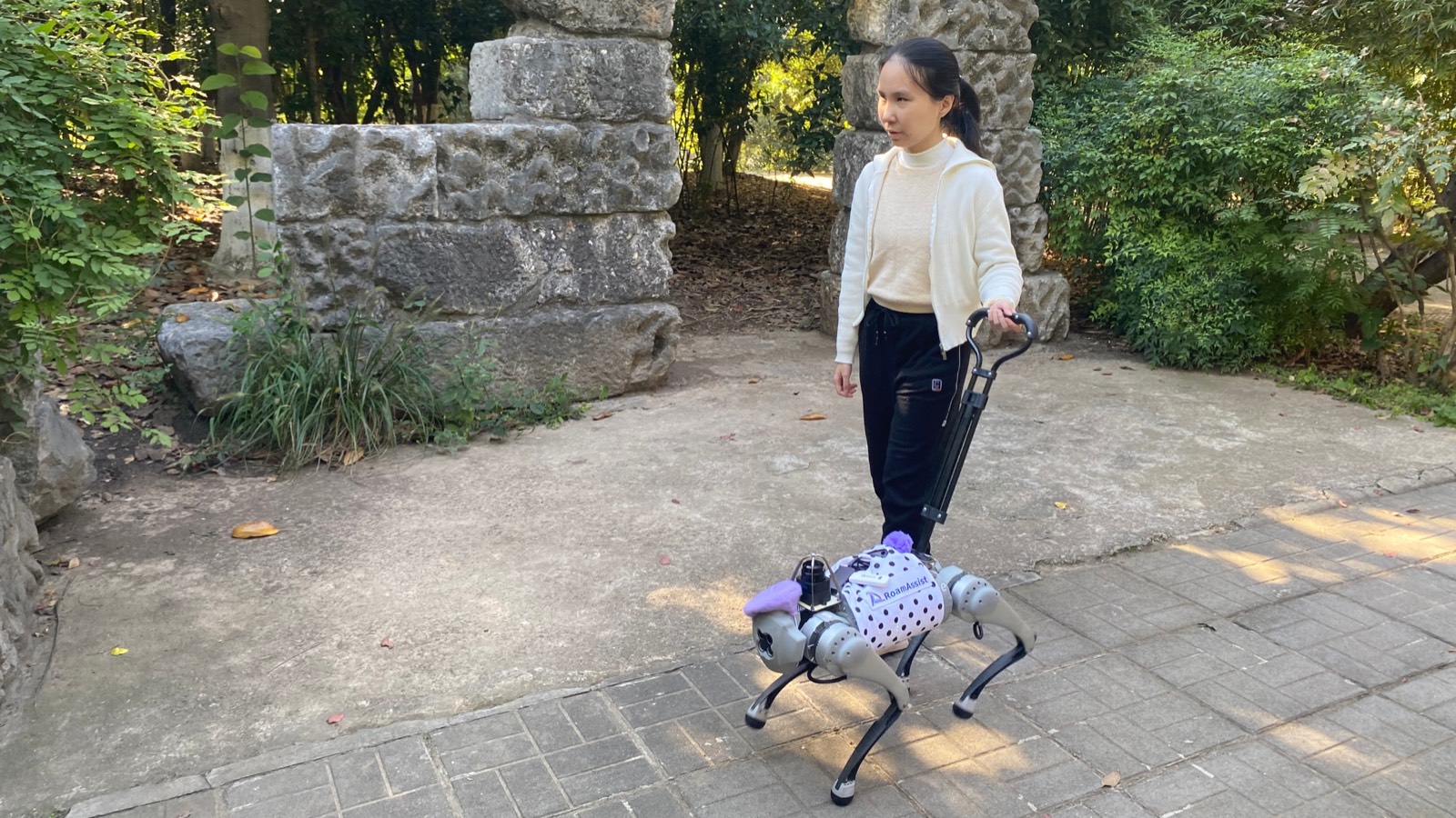 A person walking outdoors while holding the handle of a RoamAssist robotic guide dog.