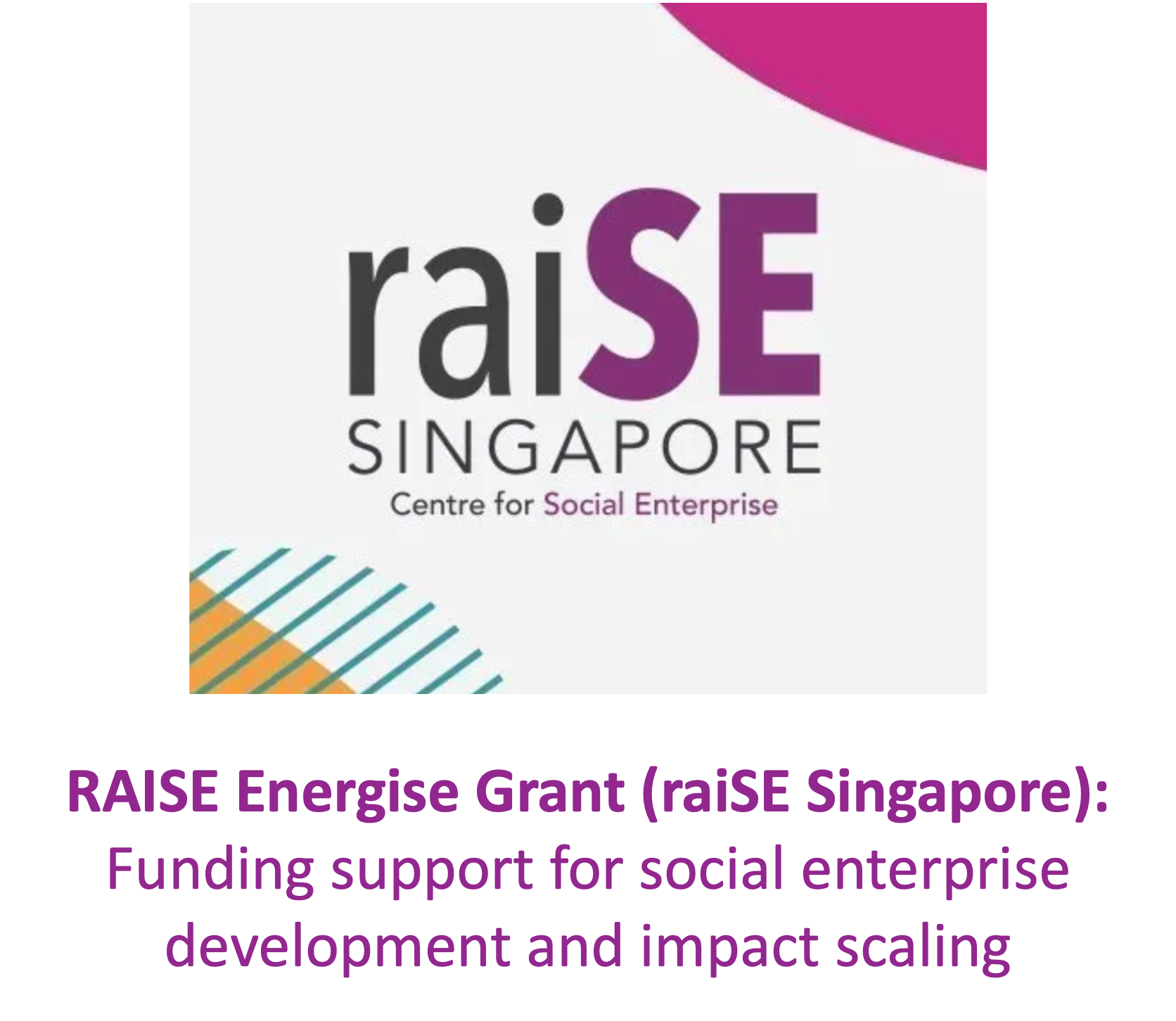raiSE Singapore Centre for Social Enterprise